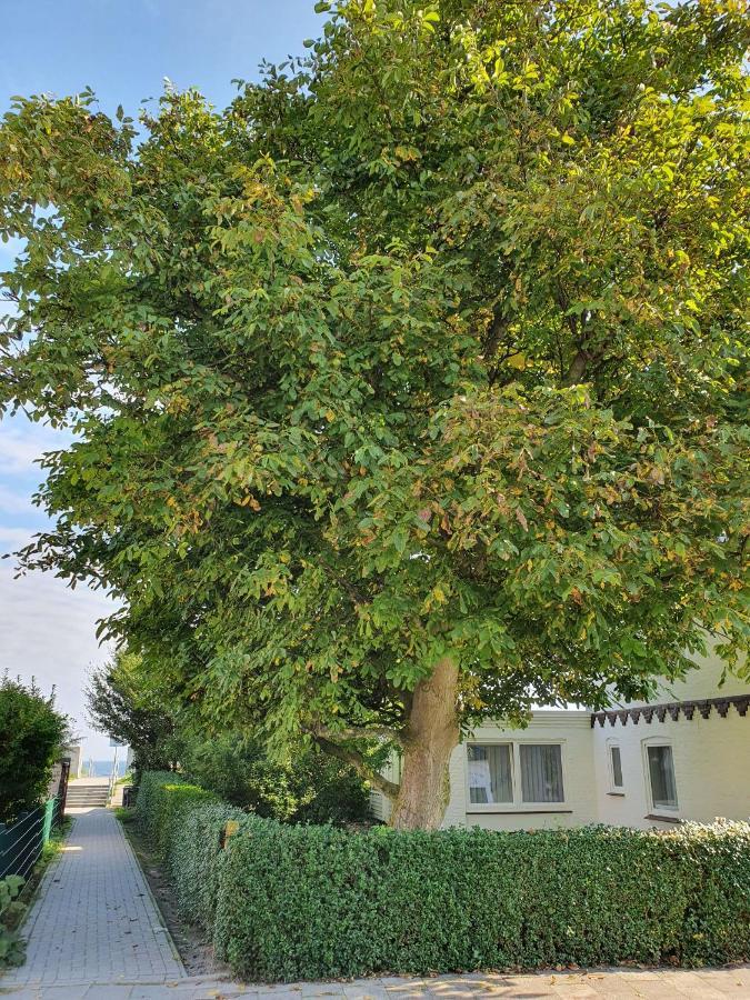 Hagelstein III "Herzmuschel" Dahme  Exterior foto